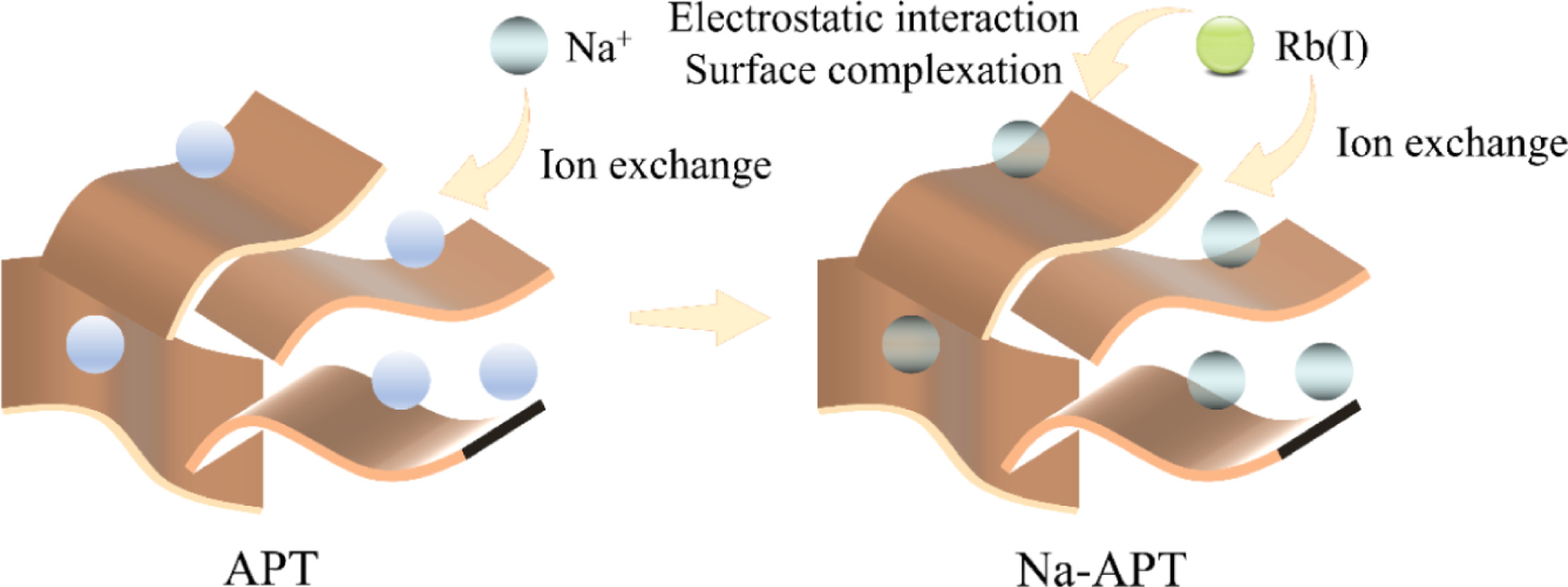 Graphical abstract for Ion exchange mechanism of Na-modified attapulgite for the recovery of trace Rb(I)