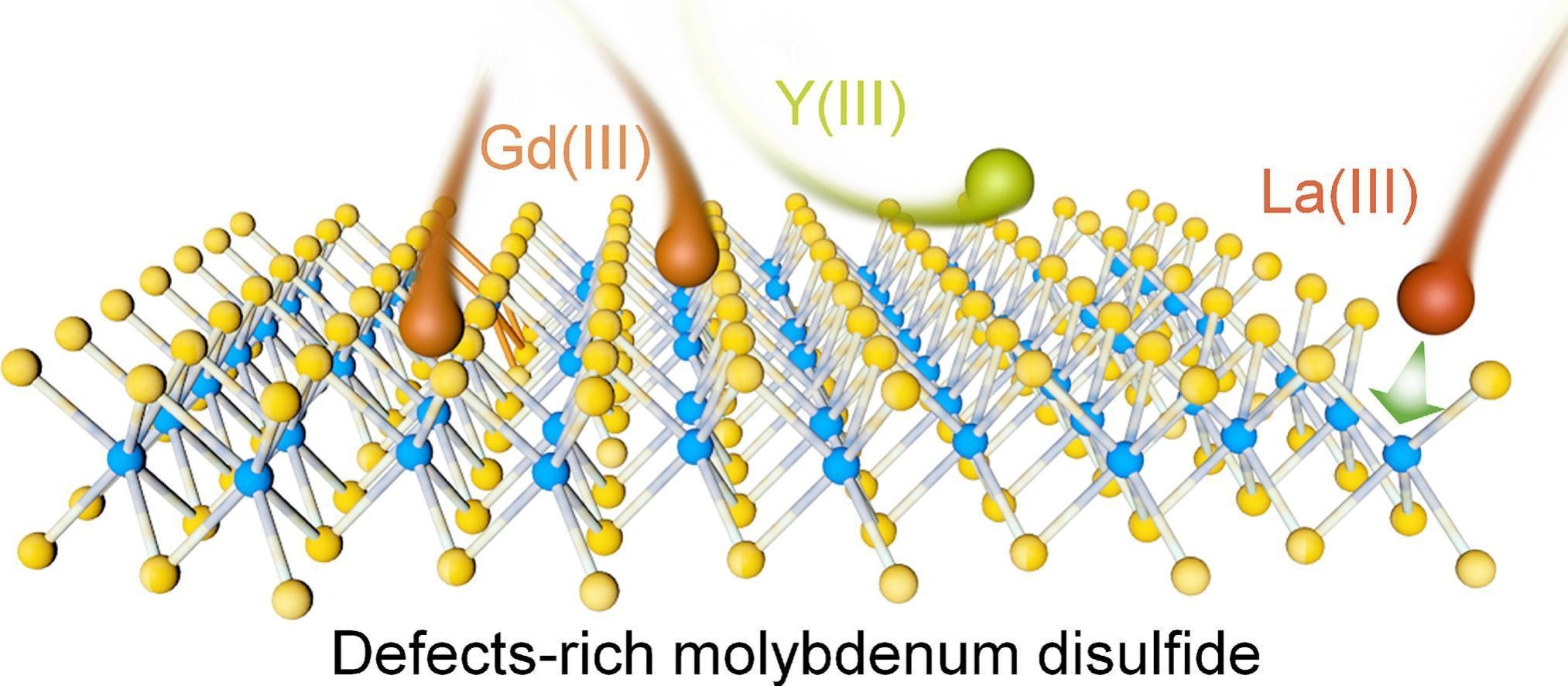 Graphical abstract for Enhanced trace gadolinium(III) extraction via tailored chemisorption on defect-engineered molybdenum disulfide electrodes