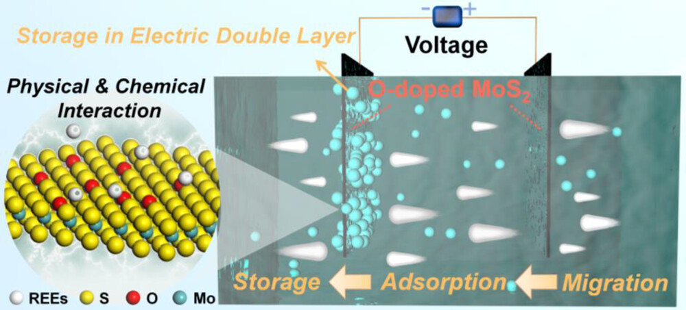 Graphical abstract for Regulating chemisorption and electrosorption activity for efficient uptake of rare earth elements in low concentration on oxygen-doped molybdenum disulfide