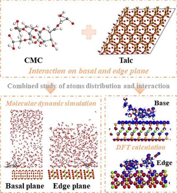 Graphical abstract for A novel insight of interaction mechanism of carboxymethyl cellulose with talc surface: A combined molecular dynamics simulation and DFT investigation