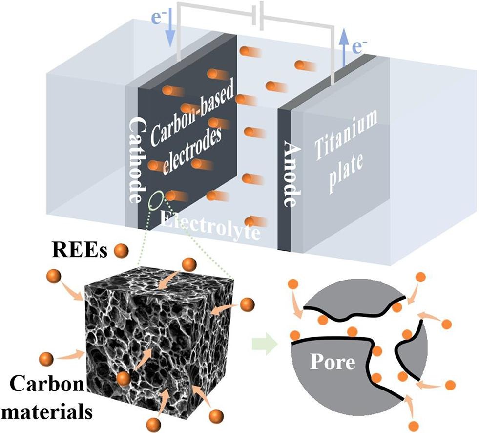 Graphical abstract for Electro-assisted sorption behavior and mechanism of low-concentration rare earth elements on carbon-based materials