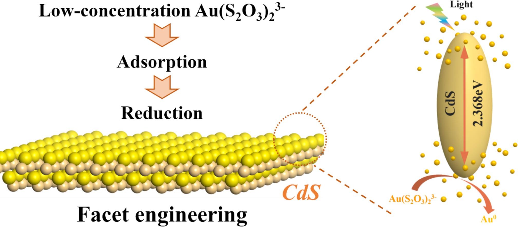 Graphical abstract for Facet engineering in cadmium sulfide for efficient reduction-recovery of low-concentration gold(I) from thiosulfate solutions
