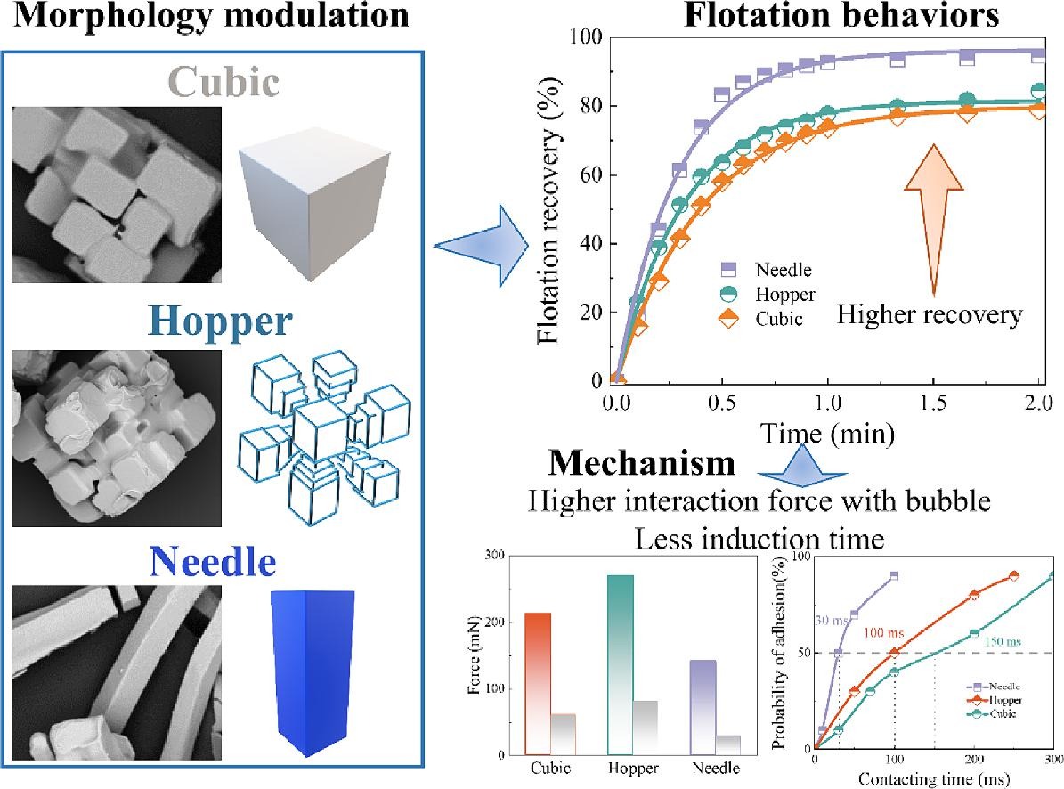 Graphical abstract for Novel strategy for improved sylvite flotation through controlled crystallization