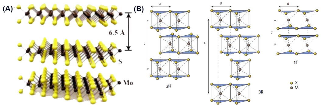 Graphical abstract for Preparation and application of 0D, 2D and 3D molybdenite: A review