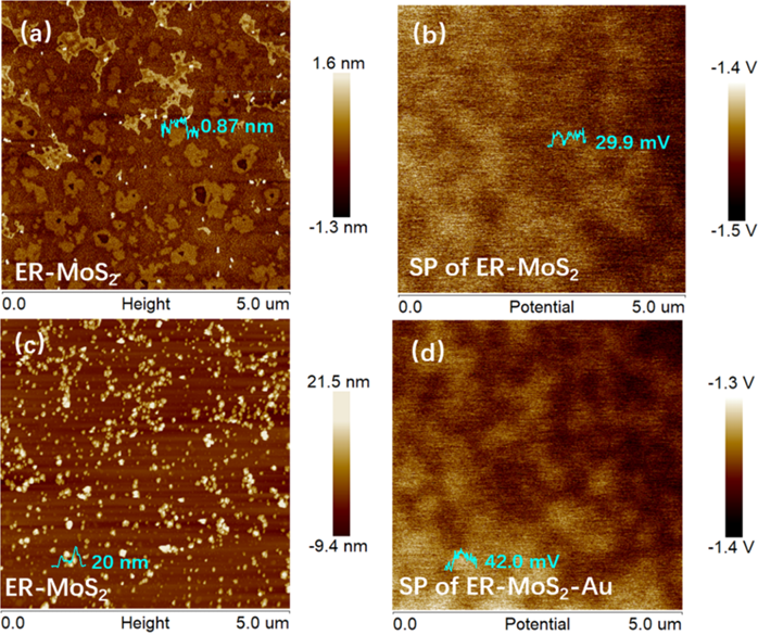 Graphical abstract for The reduction mechanism of HAuCl4 on the surface of edge-rich molybdenum disulfide