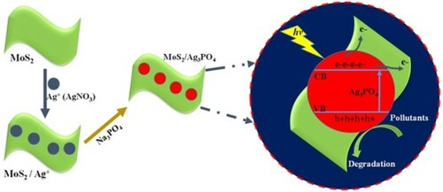 Graphical abstract for Microwave-assisted hydrothermal synthesis of MoS2–Ag3PO4 nanocomposites as visible light photocatalyst for the degradation of tetracycline hydrochloride