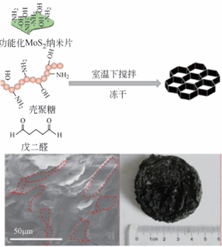 Graphical abstract for Research progress of molybdenum disulfide as a material for seawater desalination