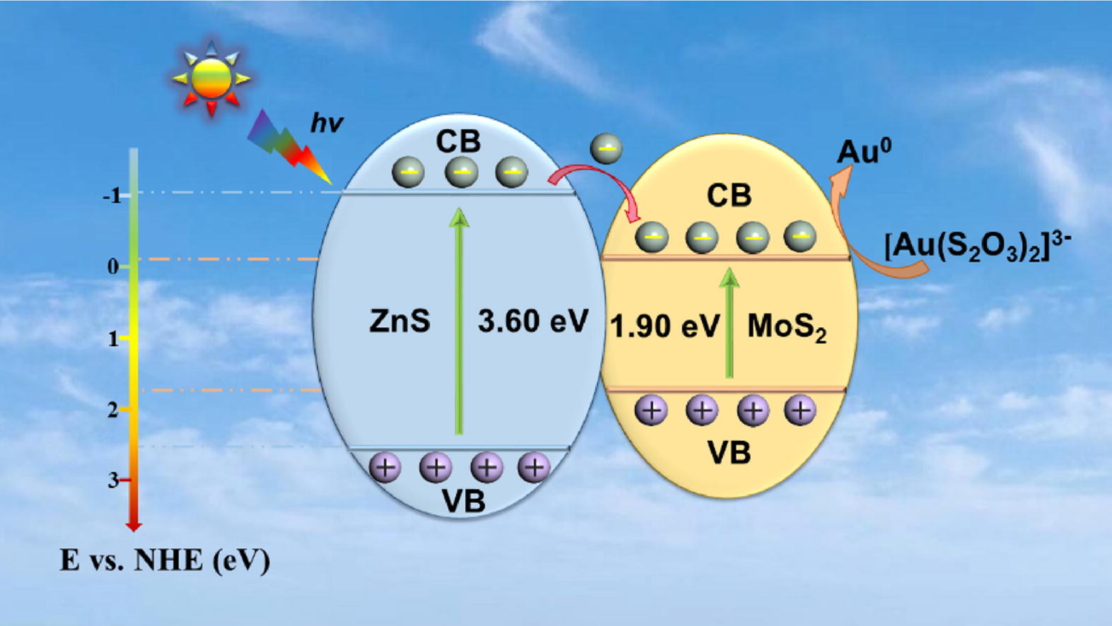 Graphical abstract for Construction of MoS2 nano-heterojunction via ZnS doping for enhancing in-situ photocatalytic reduction of gold thiosulfate complex