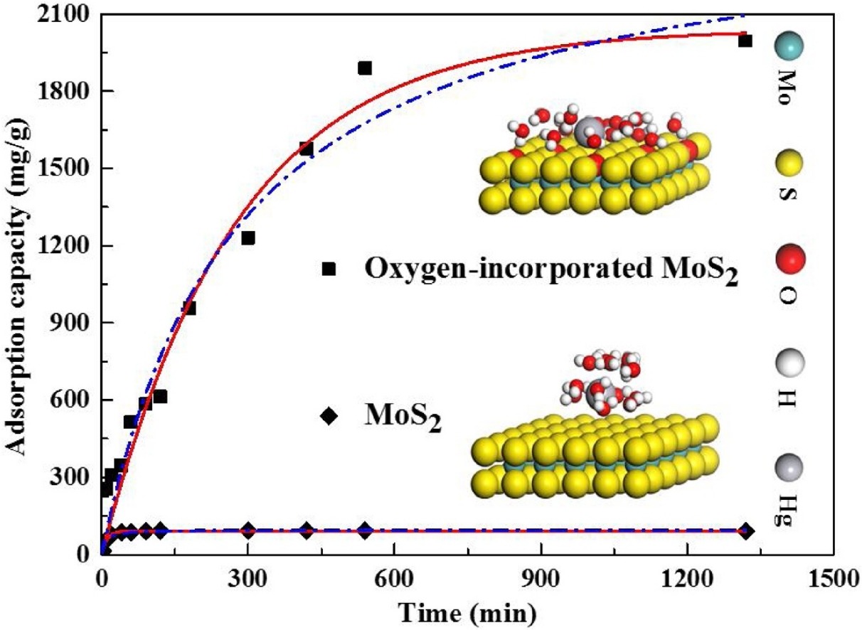 Graphical abstract for Controllable incorporation of oxygen in MoS2 for efficient adsorption of Hg2+ in aqueous solutions