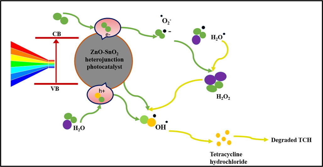 Graphical abstract for Visible-light photocatalytic degradation pathway of tetracycline hydrochloride with cubic structured ZnO/SnO2 heterojunction nanocatalyst